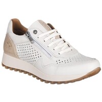 Obuća Žene
 Niske tenisice Kangaroos SNEAKERS  803 Bijela