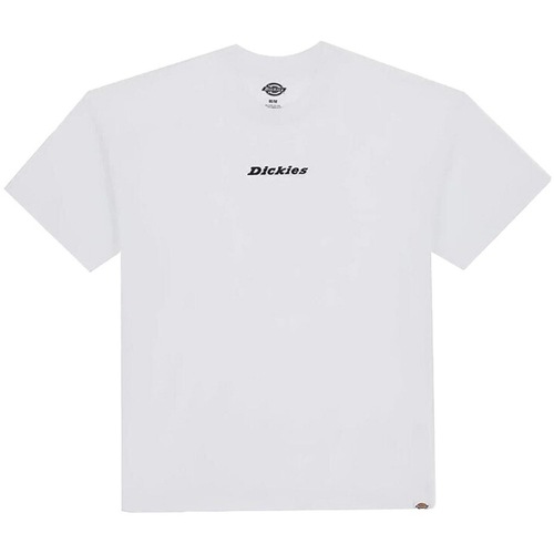 Odjeća Muškarci
 Majice / Polo majice Dickies DK0A4YRNWHX1 ENTERPRISE TEE SS WHIT Bijela
