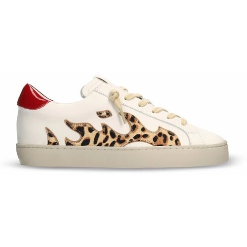 Obuća Žene
 Niske tenisice Bibi Lou SNEAKERS  100136 Bijela