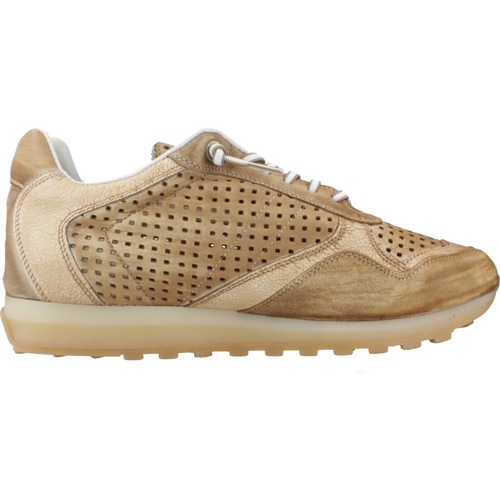 Cetti C848 V25 Smeđa