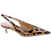 Obuća Žene
 Salonke Steve Madden 92486 Višebojna