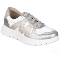 Obuća Žene
 Visoke tenisice Zapp SNEAKERS  264 Bijela