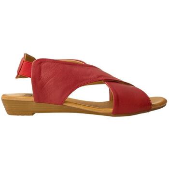 Obuća Žene
 Sandale i polusandale Bueno Shoes  Crvena
