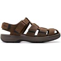 Obuća Muškarci
 Sandale i polusandale Clarks Saltway Cove Smeđa