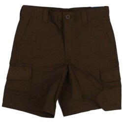 Odjeća Djeca Bermude i kratke hlače Dickies DK0A862Z Zelena