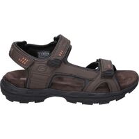 Obuća Muškarci
 Sandale i polusandale Skechers 64487-BRN Smeđa