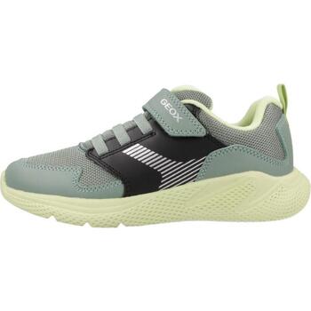Geox J SPRINTYE BOY