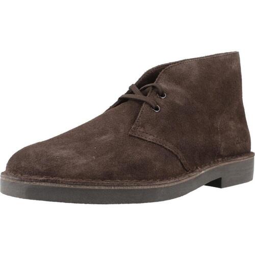 Obuća Muškarci
 Čizme Clarks DESERT BT EVO Smeđa