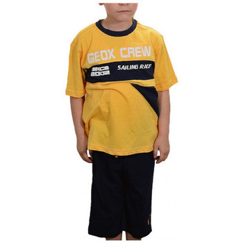 Odjeća Djeca Majice / Polo majice Geox Completo žuta
